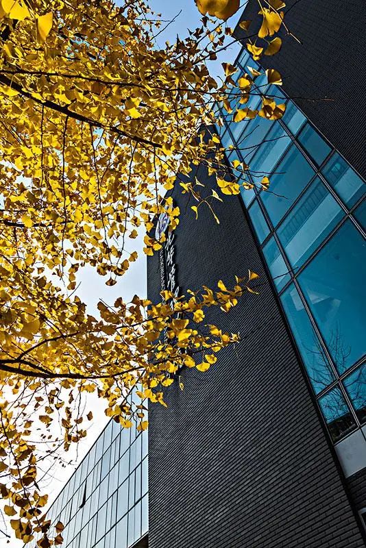 四级没过,3所提面优秀,北大光华MBA预录取,我是怎么做到的? 四级没过,3所提面优秀,北大光华MBA预录取,我是怎么做到的?