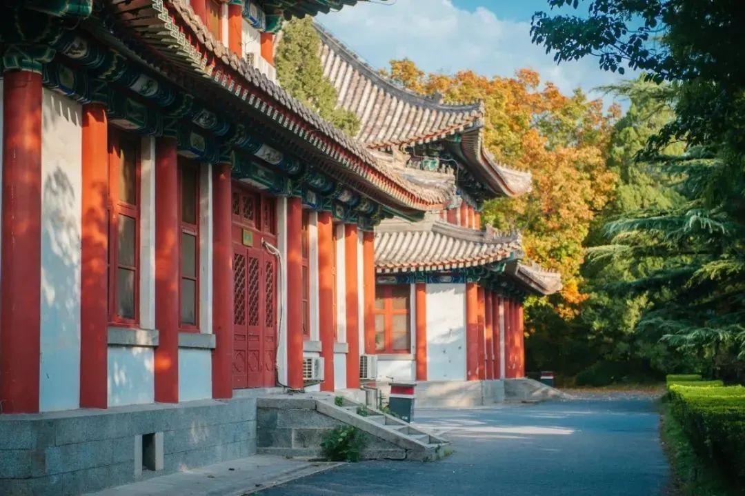 去年164，今年224，二战的我如何逆袭北大MBA？